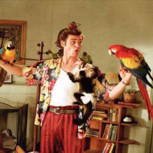 Ace Ventura 1. Ace Ventura 1.